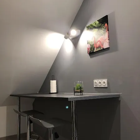 Grand Studio Spacieux Proche De Toute Commodites ! 公寓