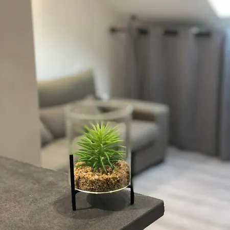 Grand Studio Spacieux Proche De Toute Commodites ! 公寓