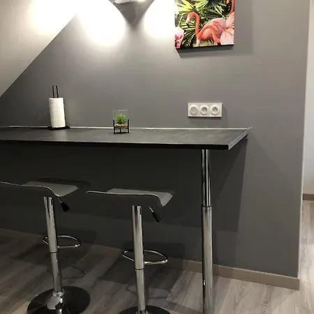 公寓 Grand Studio Spacieux Proche De Toute Commodites ! *
