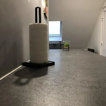 Grand Studio Spacieux Proche De Toute Commodites ! 公寓 *