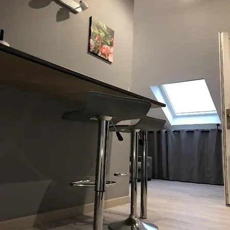 Grand Studio Spacieux Proche De Toute Commodites ! 鲁昂
